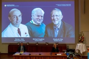 Охота на вирусы. За что дали медицинский Нобель-2020?