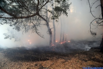 Prawie 19 tysięcy hektarów lasów ucierpiało w wyniku pożarów w obwodzie ługańskim 