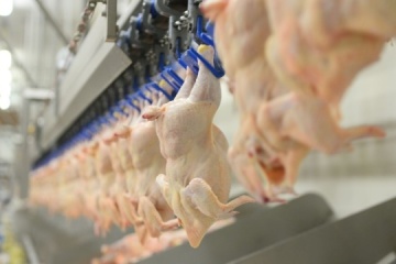 Курятина від МХП за рік подешевшала на 11%