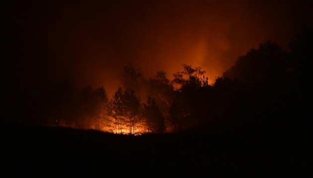 У лісових пожежах на Луганщині загинули четверо осіб, десятьох госпіталізували
