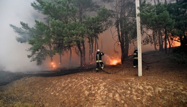 Cinco personas muertas, diez hospitalizadas en incendios forestales en la región de Lugansk 