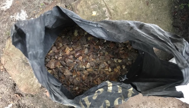На Рівненщині під час обшуків копи вилучили понад 100 кілограмів бурштину