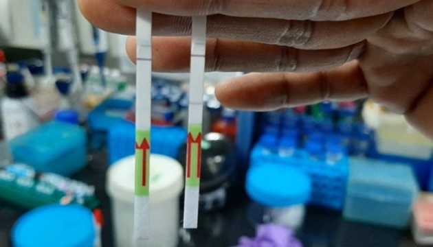 В Індії розробили швидкий паперовий тест на коронавірус