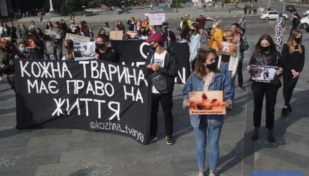 Des militants pour les droits des animaux organisent une manifestation à Kyiv