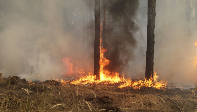 Жителі Житомирщини отримали компенсації за втрачене під час пожеж житло