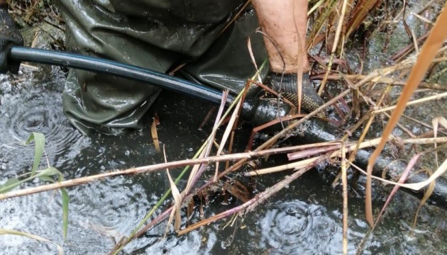 Прикордонники виявили на дні Кучурганського водосховища спиртопровід