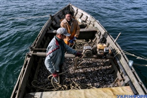 “Золото Азова”. Как ловят рыбу неслучайные люди моря