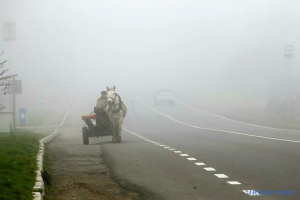 Київщину накриє туман - видимість до 500 метрів