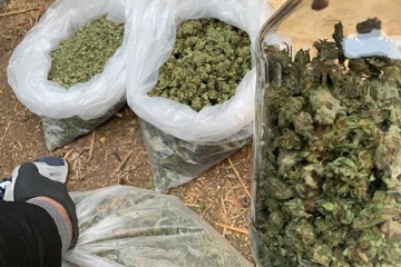 Police seize UAH 1M worth of drugs in Odesa region