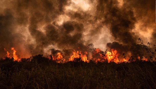 У Бразилії вигоріла третина найбільшого в світі болота Пантанал