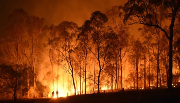 Лісові пожежі знищили понад 40% острова зі списку ЮНЕСКО