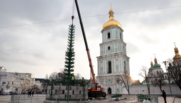 Aufstellen des Hauptweihnachtsbaums in Kyjiw