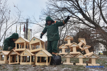 У столиці стартувала акція «Нагодуй птахів взимку»