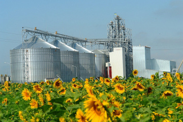 Ukrainian farmers harvest 35.2M t of grains, oilseeds