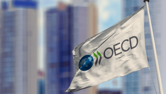 Ukraine plans to become associate member of OECD as early as 2023