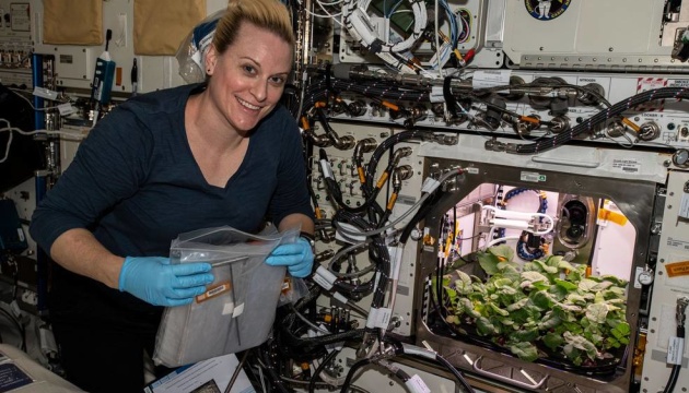 Астронавти NASA вперше зібрали в космосі урожай редиски