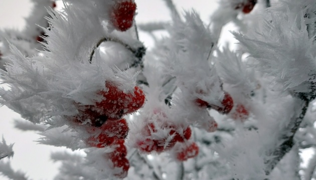 Синоптики прогнозують морози до -11° та сніг