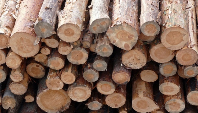 La UE declara su victoria en la disputa por la prohibición de las exportaciones de madera con Ucrania