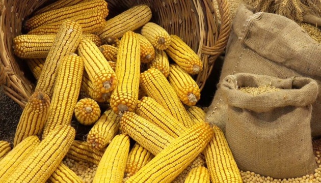 Ukraine's exports of agricultural products grow by 14% in Feb