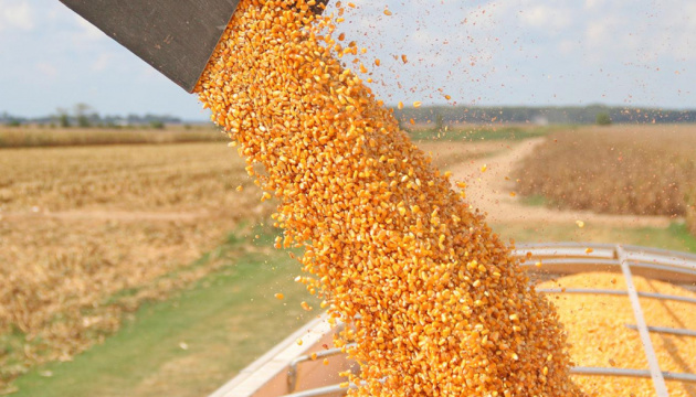 Getreideernte und Ernte von Ölsaaten auf Rekordhoch