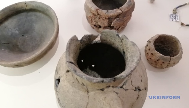 Херсонському краєзнавчому музею передали артефакти з археологічних розкопок