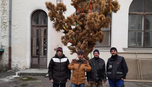 У Львові виготовили чотириметровий різдвяний дідух