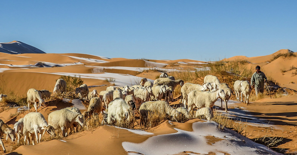 У пустелі Сахара різко знизилася температура повітря.