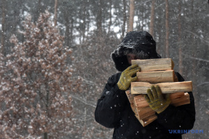 У Мінреінтеграції нагадали мешканцям Херсонщини, де взяти безкоштовні дрова на зиму