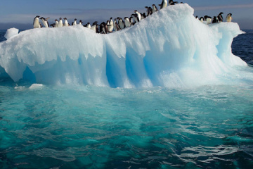 Se desprende un trozo de hielo de un glaciar cerca de la estación Akademik Verdnadsky