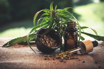 Бізнес на коноплях: від заборони до передової галузі