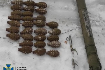 На Луганщині зі схрону оголошеного у розшук бойовика вилучили майже 30 гранат