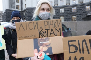 «Больше земли для природы, а не под огороды»: под Кабмином - акция протеста