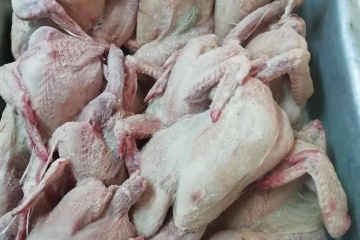 В школы Купянска завезли некачественную курятину и гнилую картошку