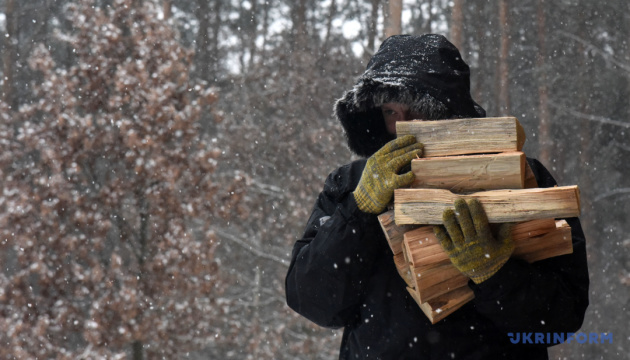 Жителям Запорожской области советуют запастись на зиму дровами и топливными брикетами