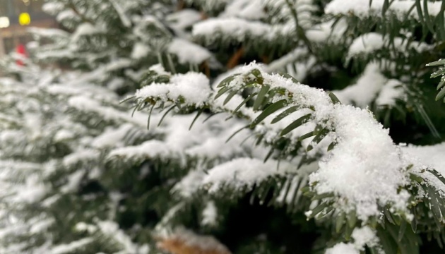 Un Ukrainien invente un meurtre pour qu’on lui déneige sa route