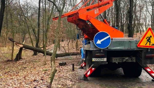 Сильний вітер поламав гілки та повалив дерева у парках Києва Сильний вітер поламав гілки та повалив дерева у парках Києва