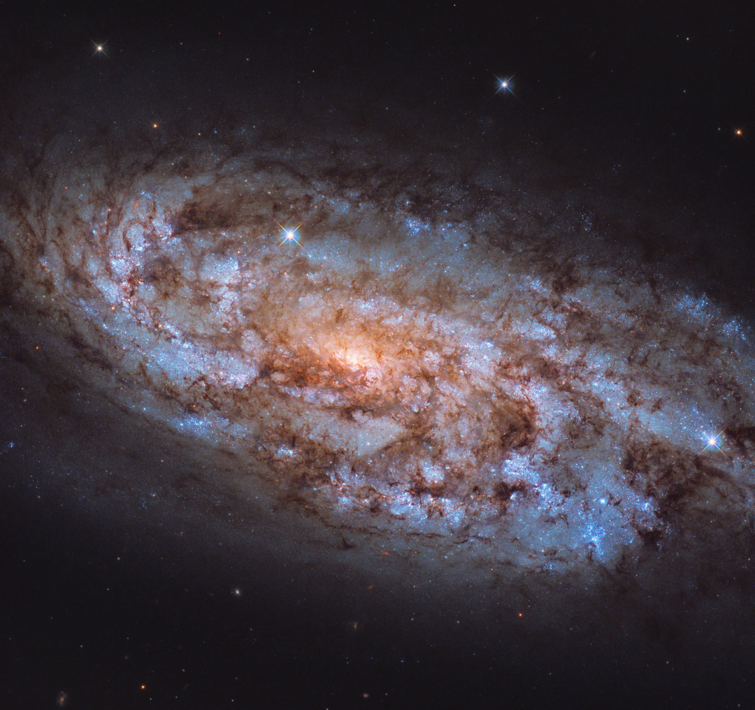 Hubble зробив знімок унікальної галактики у сузір'ї Голуба