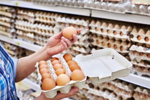 Ucrania aumenta sus exportaciones de huevos de gallina en un 17%