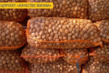 Полезные свойства грецких орехов