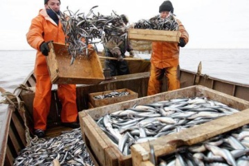 Ukraine exported over 6,000 tonnes of fish and other aquatic bioresources in Jan-July 2021