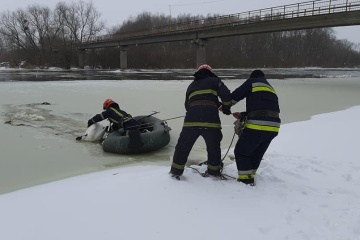 Im Gebiet Lwiw 15 Schwäne aus Eisfalle gerettet