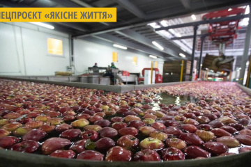Фермерське господарство з Тернопільщини освоює новий сегмент на ринку снеків