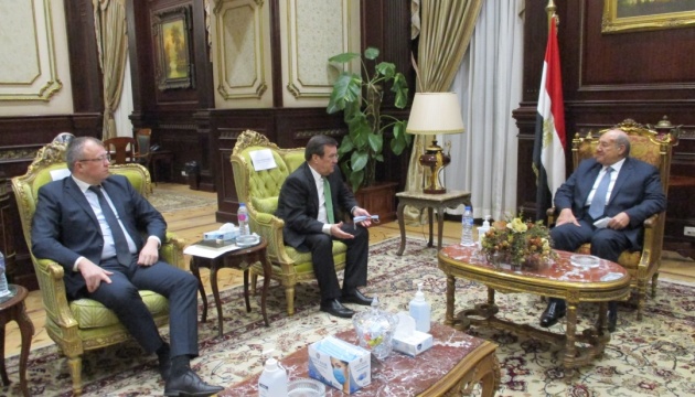 Ukrainian ambassador, Egyptian MPs discuss political cooperation between countries