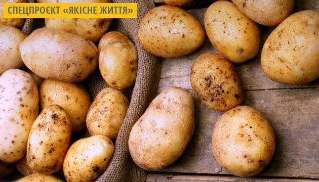 Seleccionistas ucranianos crean una variedad de patata con un rendimiento de unas 100 t/ha
