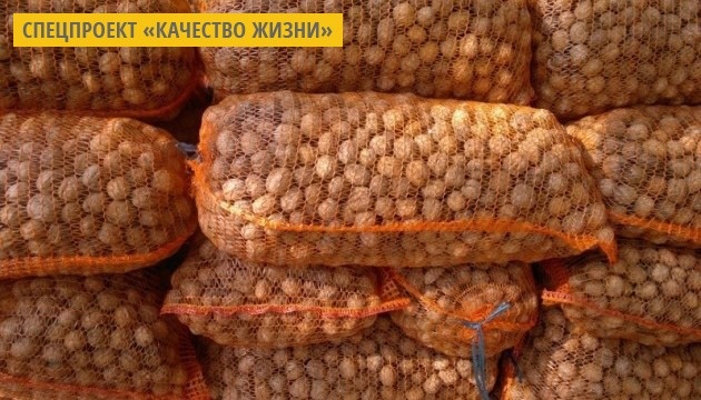 Полезные свойства грецких орехов Полезные свойства грецких орехов