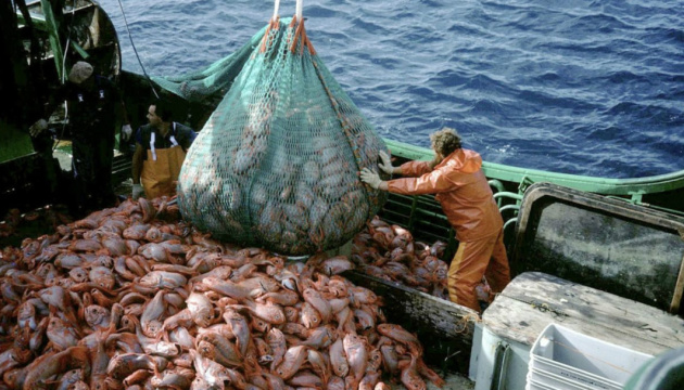 Росія забороняє імпорт рибної продукції з «недружніх» країн