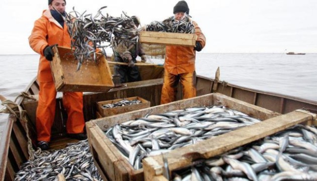 Туреччина відкрила ринок для експорту української рибної продукції
