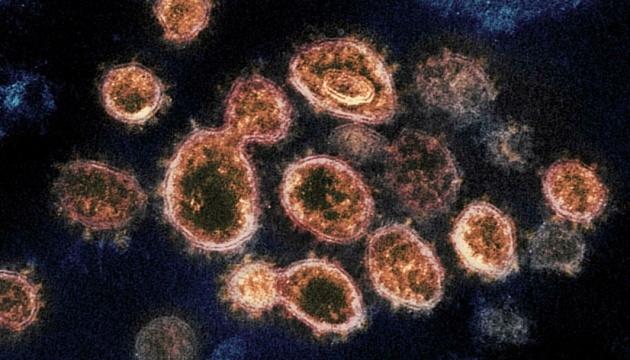 В Україну можуть завезти «каліфорнійський» штам коронавірусу - лікарка