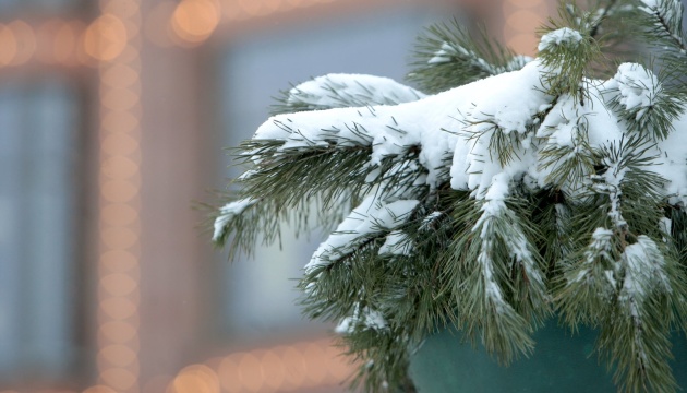 Перший день зими в Україні буде зі снігом, ожеледицею та сильним вітром