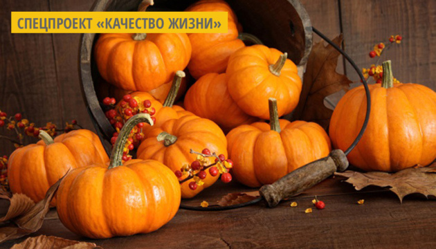 Фермеры из Черниговщины будут производить масло из штирийских тыкв Фермеры из Черниговщины будут производить масло из штирийских тыкв